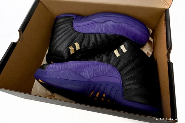 Air CT8013-057 Field 12 Jordan Retro Purple 0806